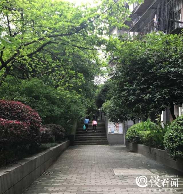 藏身渝中的步道年底与你见面 百米悬空栈道带你打卡“重庆味道”