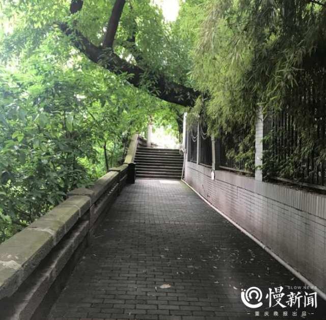 藏身渝中的步道年底与你见面 百米悬空栈道带你打卡“重庆味道”